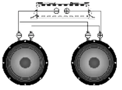 APOCALYPSE APn W81A Mid Bass Speakers - Parallel