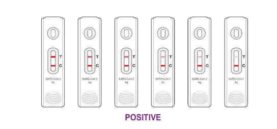 GENRUI SARS-CoV-2 Antigen Test Kit fig 3