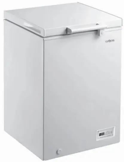 GODDESS FTE 2145 WW8E Freezer