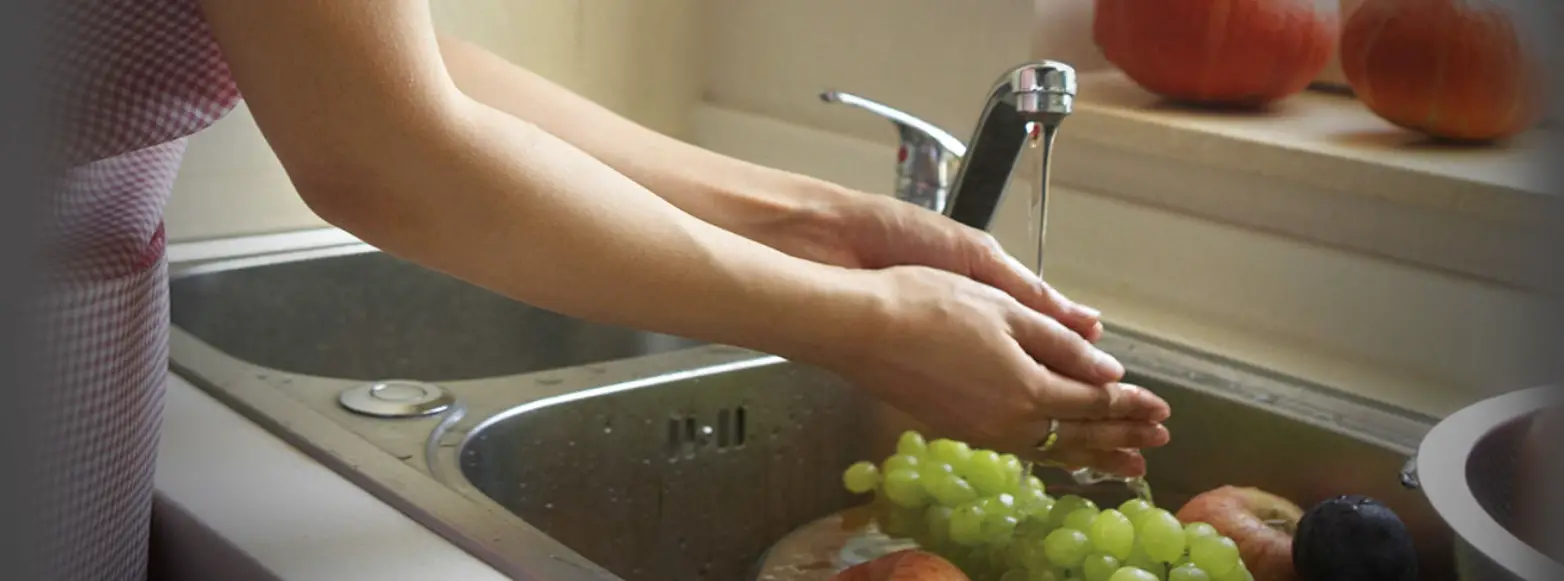 Watts Wa00 Series Smartstream-a User Guide