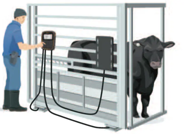 GALLAGHER-TWR-1-APS-Weighing-Computer-with-Data-Collector-06