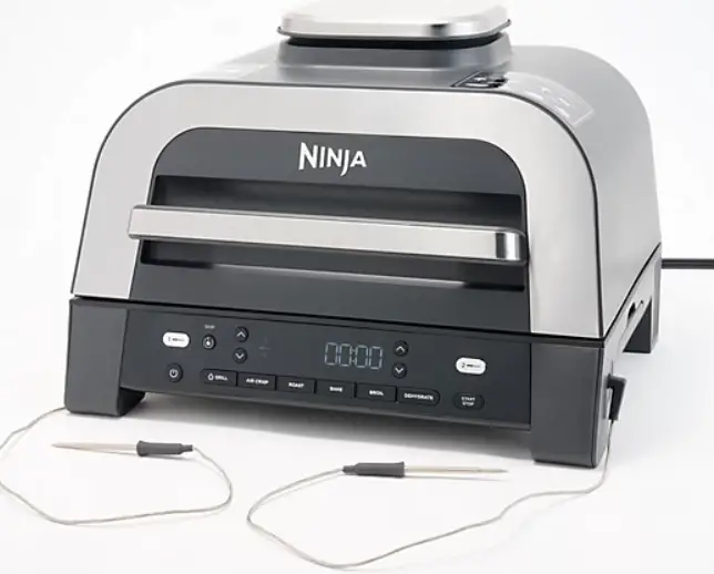 NINJA DG650 Series Foodi Dual Thermometer