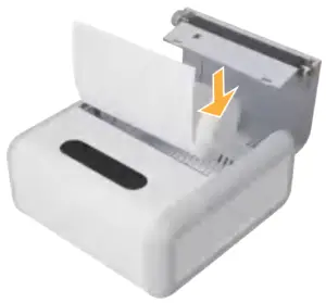 Roll Paper Installation