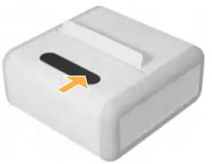 Roll Paper Installation