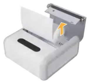 Folding Paper Installation