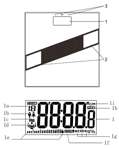 BLAUPUNKT-BSM411-Bathroom-Scales-with-Body-Monitor-1