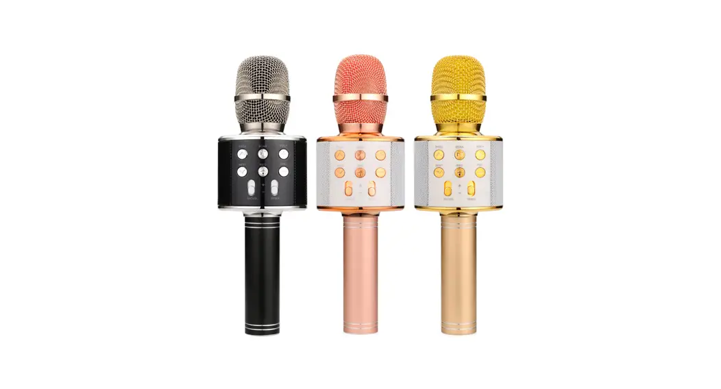 Rubicson 24136 Karaoke Microphone User Manual