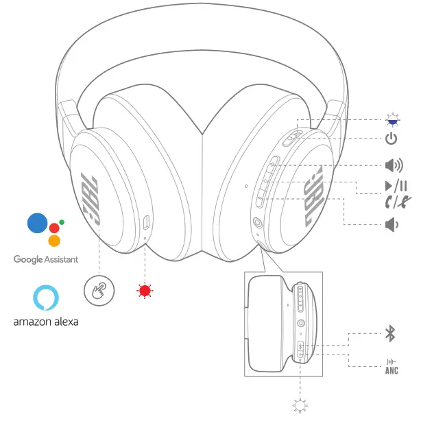 LIVE650BTNC - Buttons & LEDs