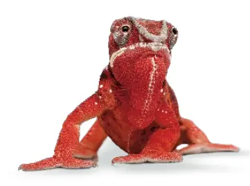 ELATEC 17166 TWN4 MultiTech 2 LF RFID Card Reader - ELATEC GMBH