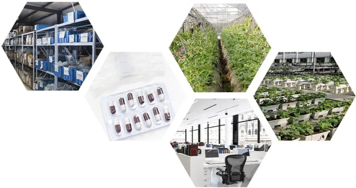 SONBEST SD5110B RS485 Network Type Large Screen LCD Wall Mounted Temperature and Humidity Display - How to use