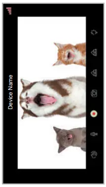 Petica-KSRM-Smart-Automatic-Pet-Feeder-fig-16