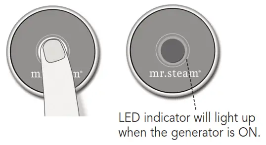 mr steam CT9EC1 1Ph Day Spa Steam Generator - LED indicato