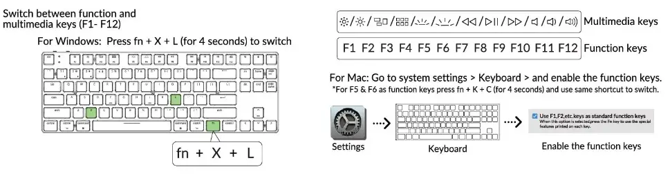 function and multimedia keys