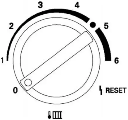 100-W WB1B Regular Gas Boiler Switching OFF Vitodens with Frost Protection
