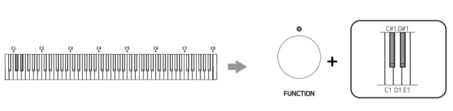 SEILER VP 7 Urban Vintage Piano - fig 11