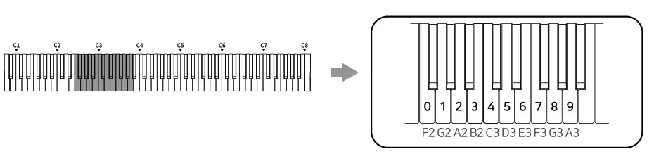 SEILER VP 7 Urban Vintage Piano - fig 12