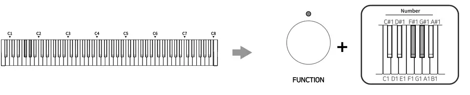 SEILER VP 7 Urban Vintage Piano - fig 13