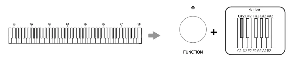 SEILER VP 7 Urban Vintage Piano - fig 9.