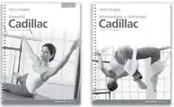 merrithew-SpringWall-Workout-Unit-FIG-14