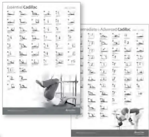 merrithew-SpringWall-Workout-Unit-FIG-15