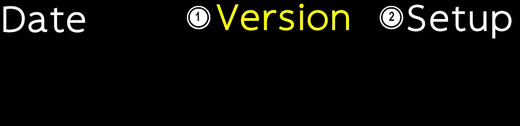 RICE LAKE Laser Light 3 Remote Display 11