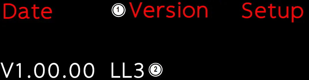 RICE LAKE Laser Light 3 Remote Display 12