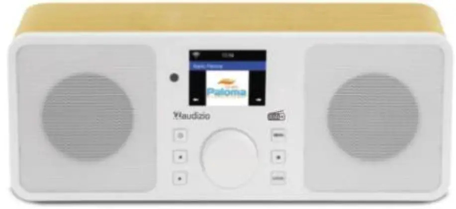 audizio-102-226-Rome-Wifi-Dab-+-Radio-product-image