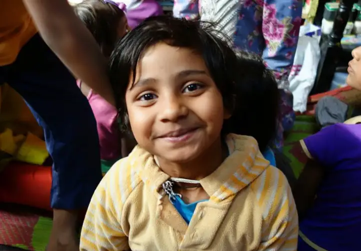 Bryant C Flo Pro Multi Material Heater -BD 1