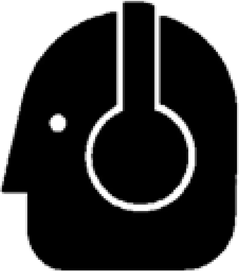 PROLONGED EXPOSURE TO LOUD NOISE CAN BE HARMFUL TO HEARING AND LEAD TO HEARING LOSS