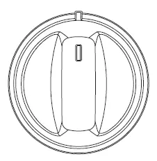 GE Profile-PS96PZRSS-Trattoria-Pizza-Oven-FIF-2