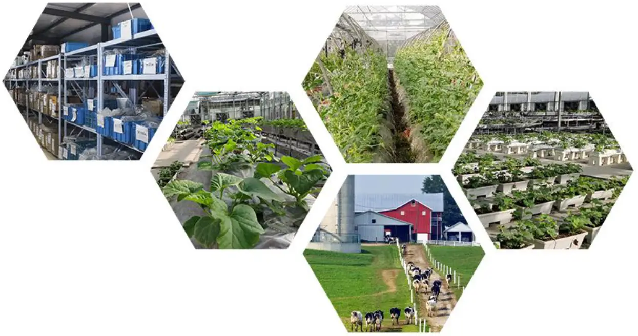 SONBEST SM3591B Illumination Temperature and Humidity Sensor - Fig 2