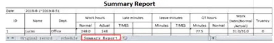 Summary Report