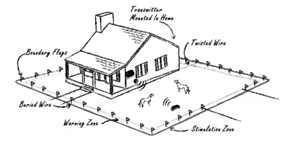 DOG COLLAR EF168 Pet Wireless Fence System - figure 1
