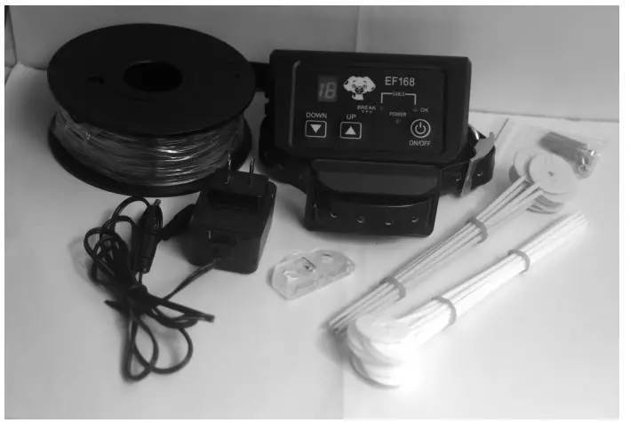 DOG COLLAR EF168 Pet Wireless Fence System - figure 2