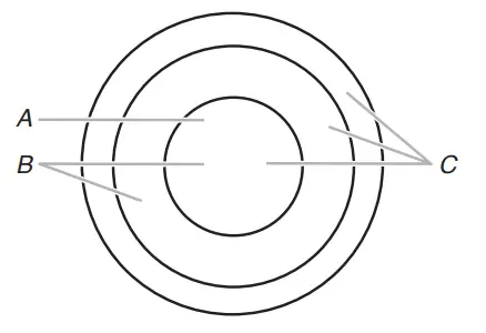 Whirlpool-W11439187B-Electric-Cooktop-Fig-06