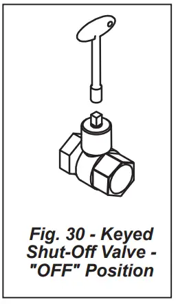 allen roth VL W18DL 24 in 55000 BTU Dual Vented Gas Fireplace Logs-fig17