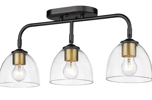 GOLDEN LIGHTING 6958-BA3, 6958-3SF Roxie Contemporary Ceiling Light Fixture