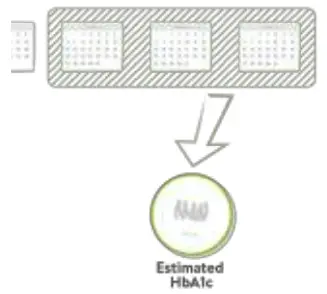 mySugr Logbook App - calculation