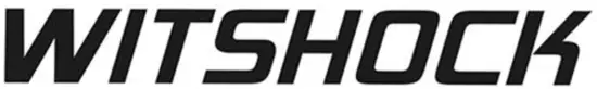 WITSHOCK - logo