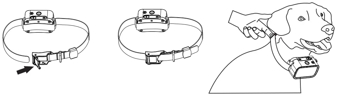  Assembly the Receiver Collar