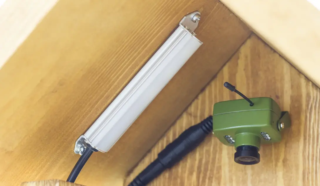 Green Feathers Bbled3 Daylight Led Lamp User Guide