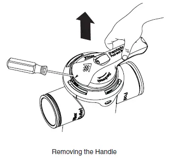 Pentair-Water-263081-Water-FullFloXF-Backwash-Valve-FIG-8