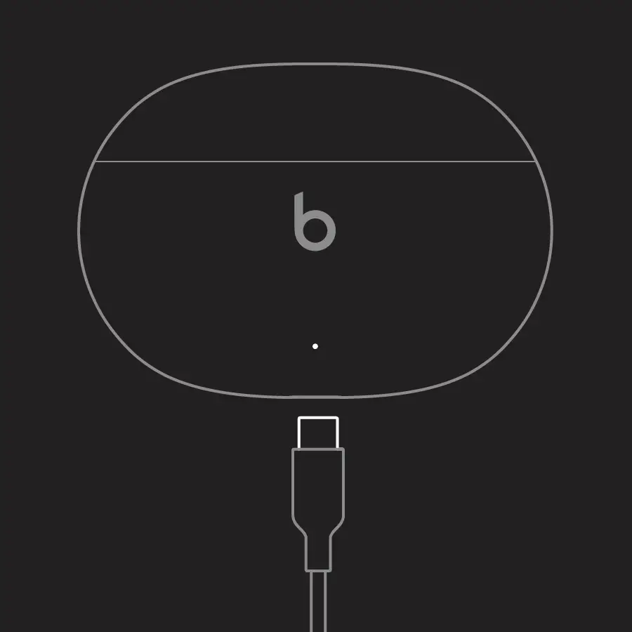 Diagram of USB-C cable plugging into bottom of case.
