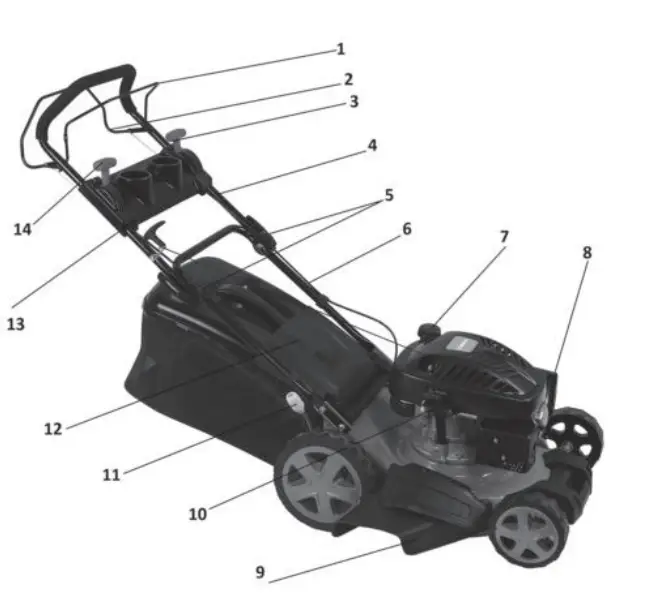 FIELDMAN FZR 4618-144BV Petrol Self Propelled Lawn Mower-1