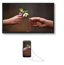 GLOBUS RS232x1 Interactive Display - 5