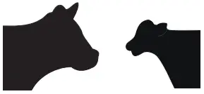 MEGACOR FASTest IgG Bovine -