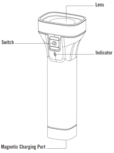OLIGHT-Archer-Rechargeable-LED-Torch- (4)