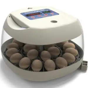 PATENT PENDING Nurture Right Instructions