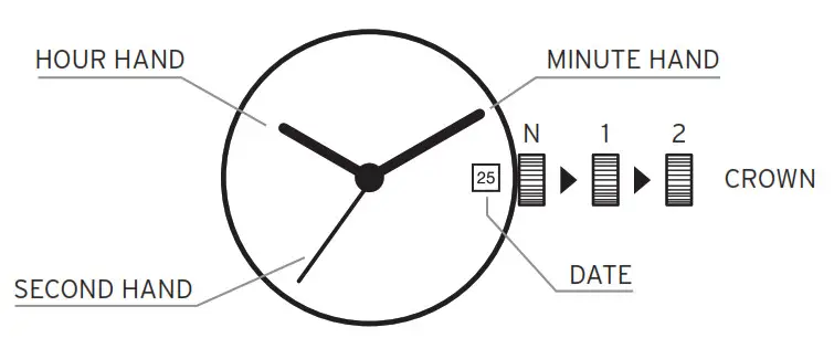 HEAD WATCHES 3 Hand Watch with Date Solar Movement