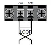 AUDIOropa-A-4264-0-Pro-Loop-DCC-Plus-14